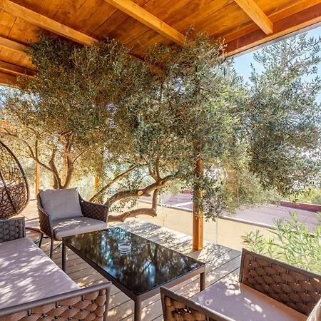 Olivia Green Camping 4*