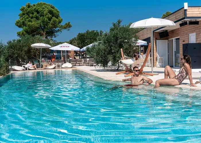 Olivia Kamp alanı Tisno